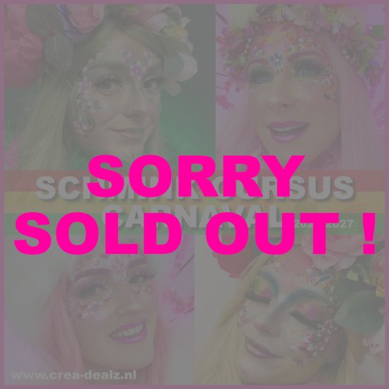 (afbeelding voor) Carnavals Schmink - 13 oktober 2026